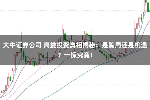 大牛证券公司 离娄投资真相揭秘:是骗局还是机遇?一探究竟!