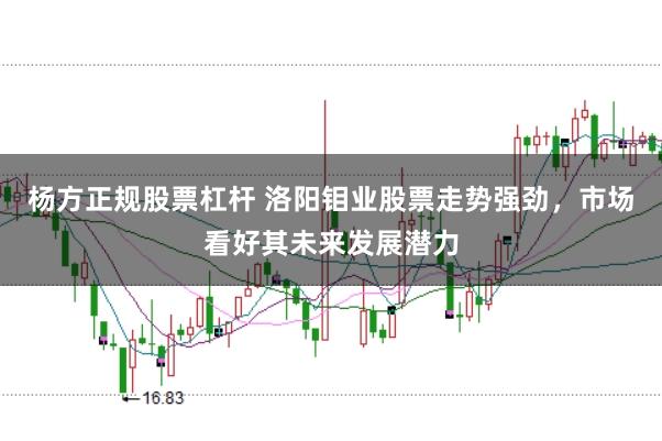 杨方正规股票杠杆 洛阳钼业股票走势强劲，市场看好其未来发展潜力