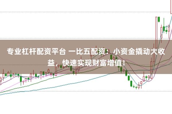 专业杠杆配资平台 一比五配资：小资金撬动大收益，快速实现财富增值！