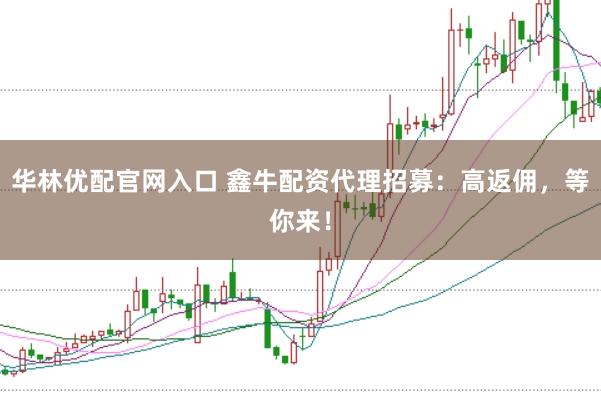 华林优配官网入口 鑫牛配资代理招募：高返佣，等你来！