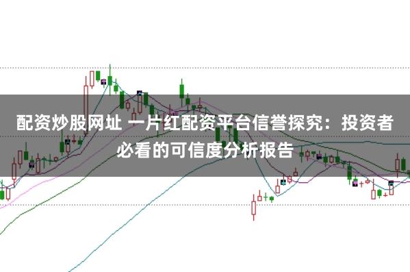 配资炒股网址 一片红配资平台信誉探究：投资者必看的可信度分析报告