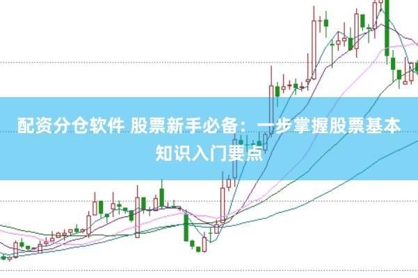 配资分仓软件 股票新手必备：一步掌握股票基本知识入门要点