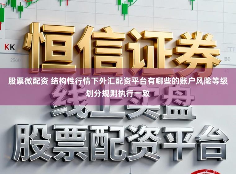 股票微配资 结构性行情下外汇配资平台有哪些的账户风险等级划分规则执行一致