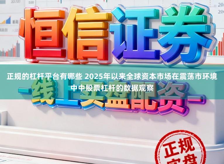 正规的杠杆平台有哪些 2025年以来全球资本市场在震荡市环境中中股票杠杆的数据观察